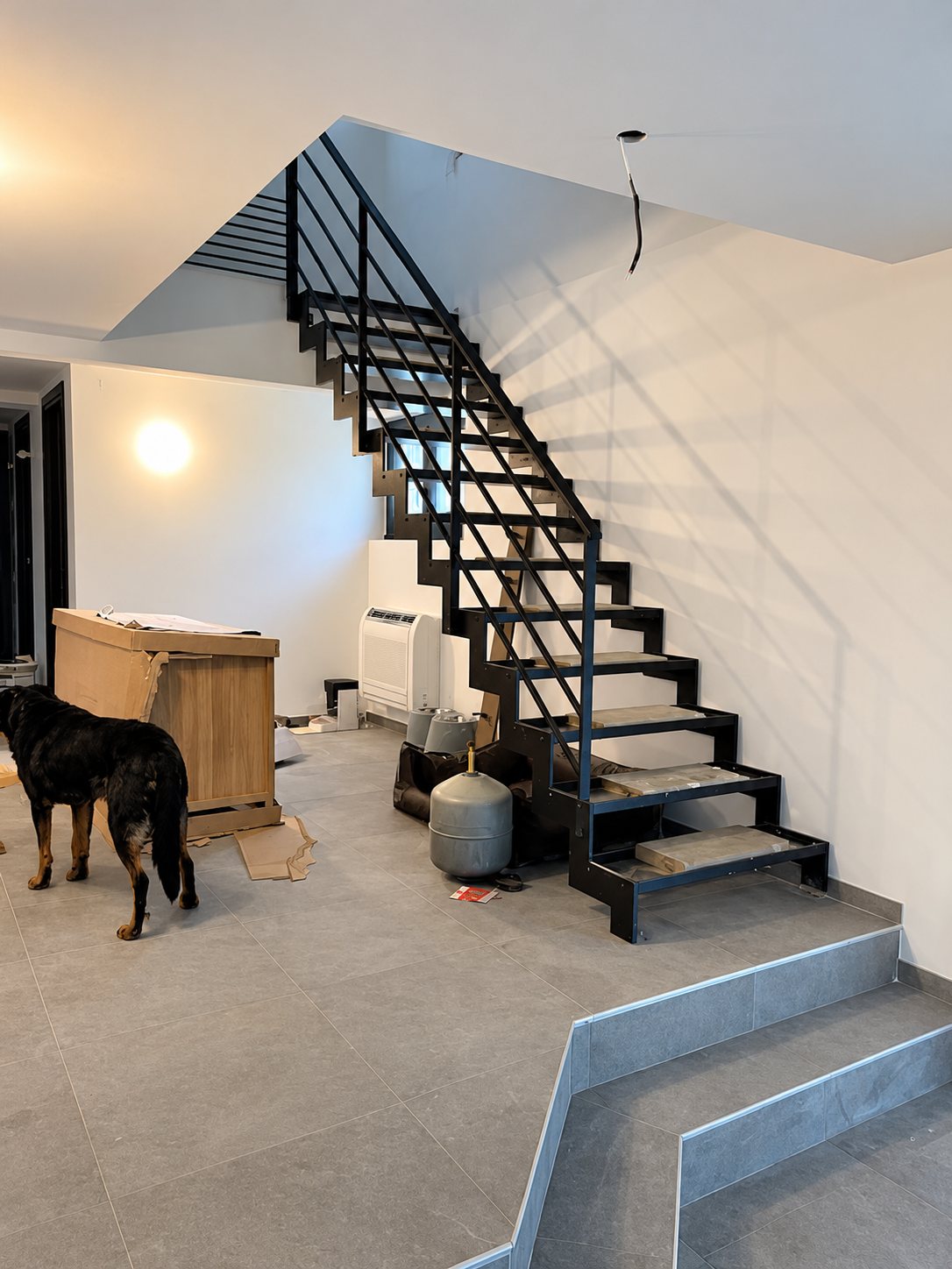 Un escalier métallique noir à marches ouvertes monte le long d'un mur blanc dans un intérieur en travaux, où un chien noir et feu se tient près d'un meuble en bois.